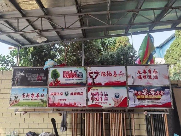 作品图片